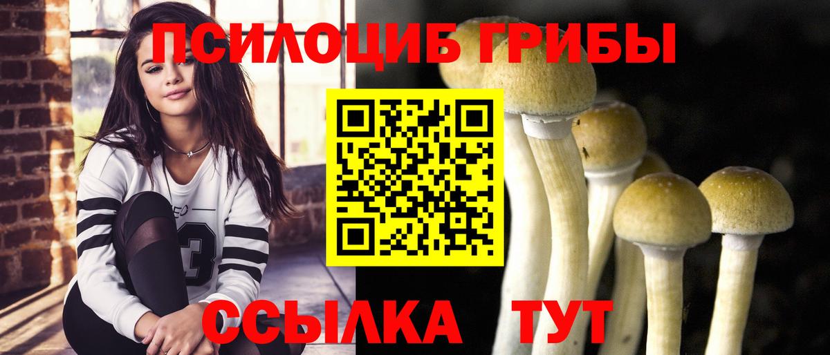 купить наркотик  Галлюциногенные грибы мухоморы  Вход с VPN  Шебекино 